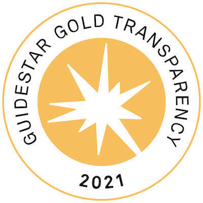 Logo of the 2021 Guidestar Gold Transparency seal earned by NYBCe demonstrating its commitment to financial transparency and inclusivity for donors.