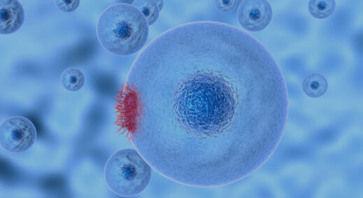 red blood cell on blue background