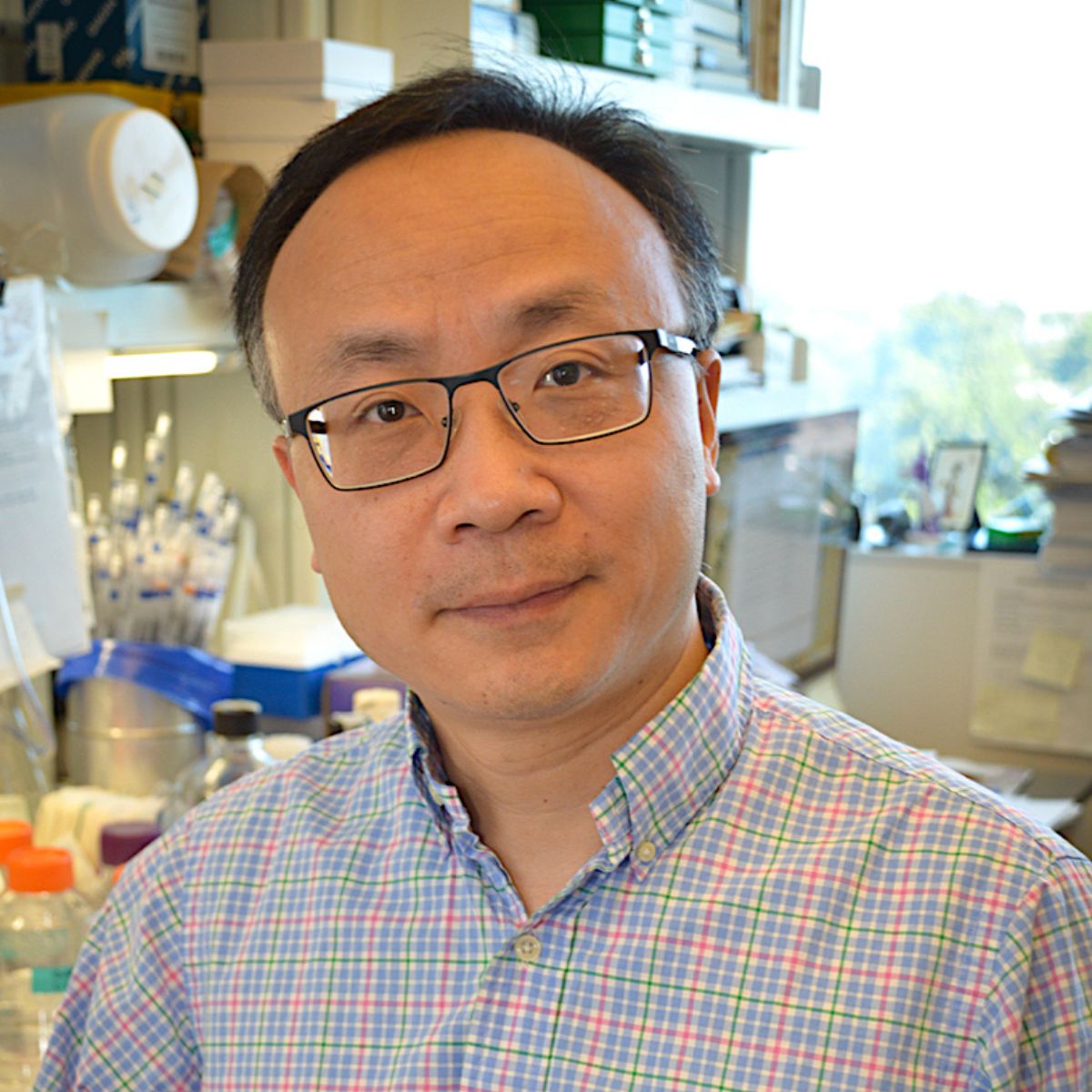 Bojing Shao, Head, Laboratory of Vascular Inflammation and Thrombosis, NYBCe. Research Assistant Member, Lindsley F. Kimball Research Institute