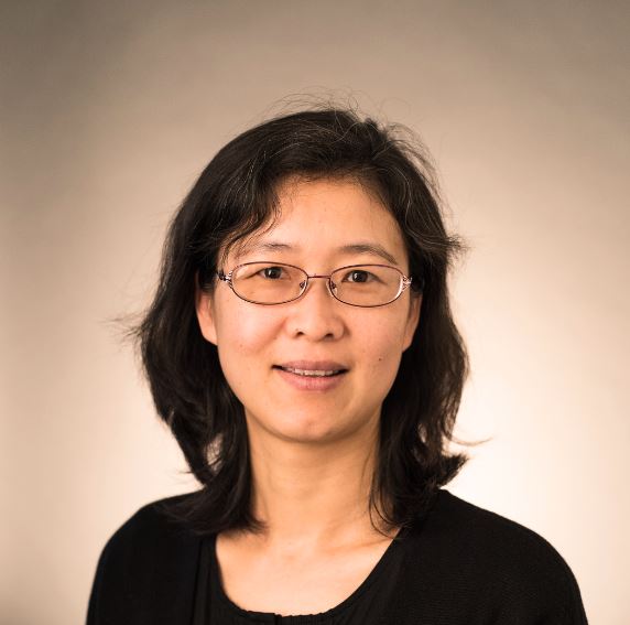 Ying Liang, MD, PhD
Head, Laboratory of Stem Cell Aging and Regeneration, NYBCe