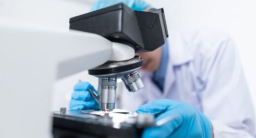 Researcher observing blood sample through a microscope.