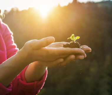 Young woman holding a plant in her hands with a sun beam illuminating it.
